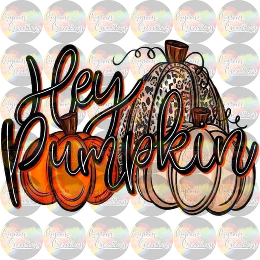 Hey Pumpkin Fall Sublimation Transfer Ready To Press