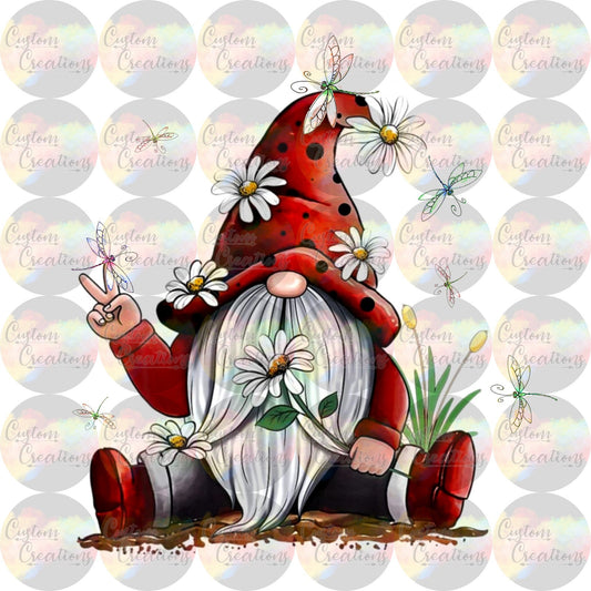 Dragonfly Surrounded Garden Gnome Digital File Download JPEG & PNG