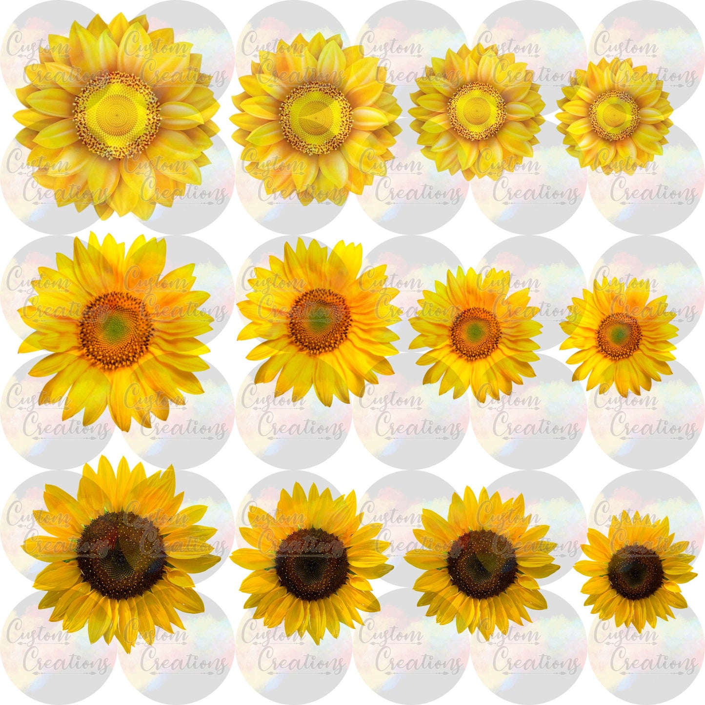 Sunflower Page A4 Printed Page Clear Laser Printed Waterslide